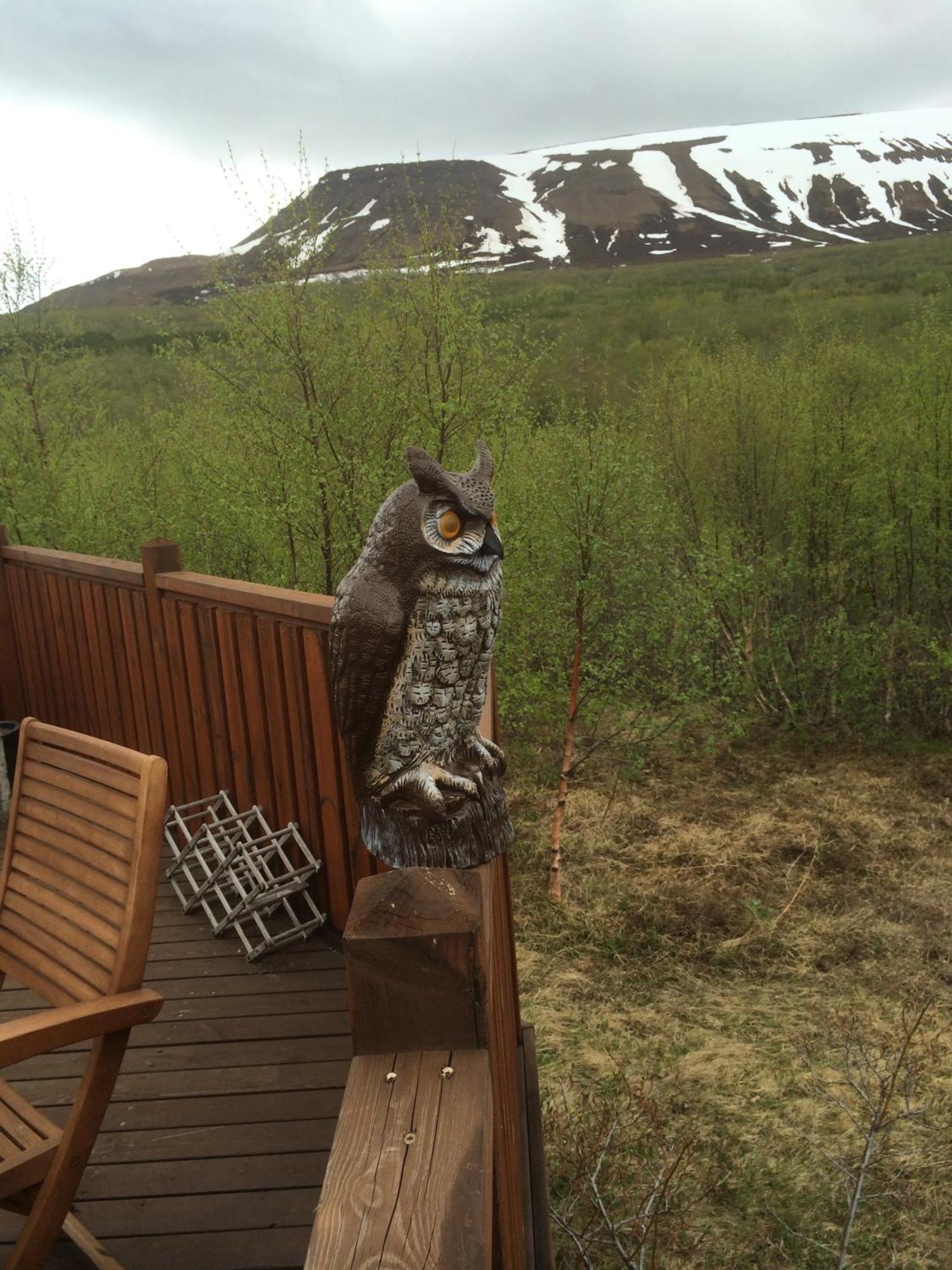 Summerhouse Vaglaskogur Akureyri Exterior photo